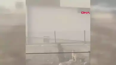 Hamile Kadın Başıboş Köpeklere Kurban Gitti!