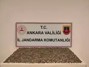 Etimesgut'ta 10 Milyonluk Tarihi Eser Baskını!