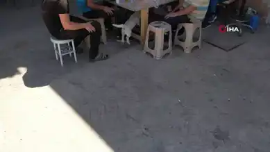 Köpekler Drona Meydan Okudu!