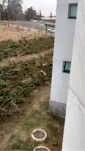 Sahipsiz Köpekler: Çankaya'da Tehlike Arttı!