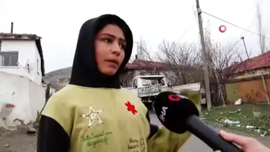 5 Yaşındaki Çocuk Sokak Köpeği Saldırısına Uğradı