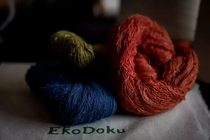Barış İpeği Projesi Ankara'da Tanıtıldı