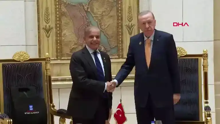 Erdoğan, Kahire'de Şerif ile Görüştü
