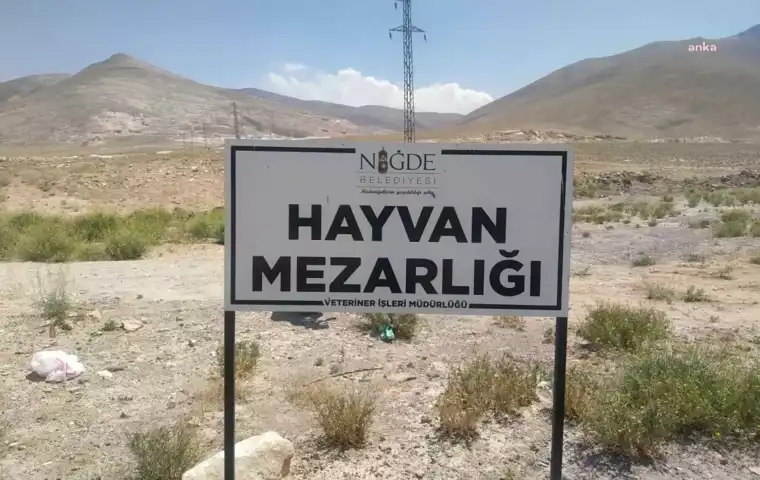 Belediye Veterinerine Soruşturma İzni